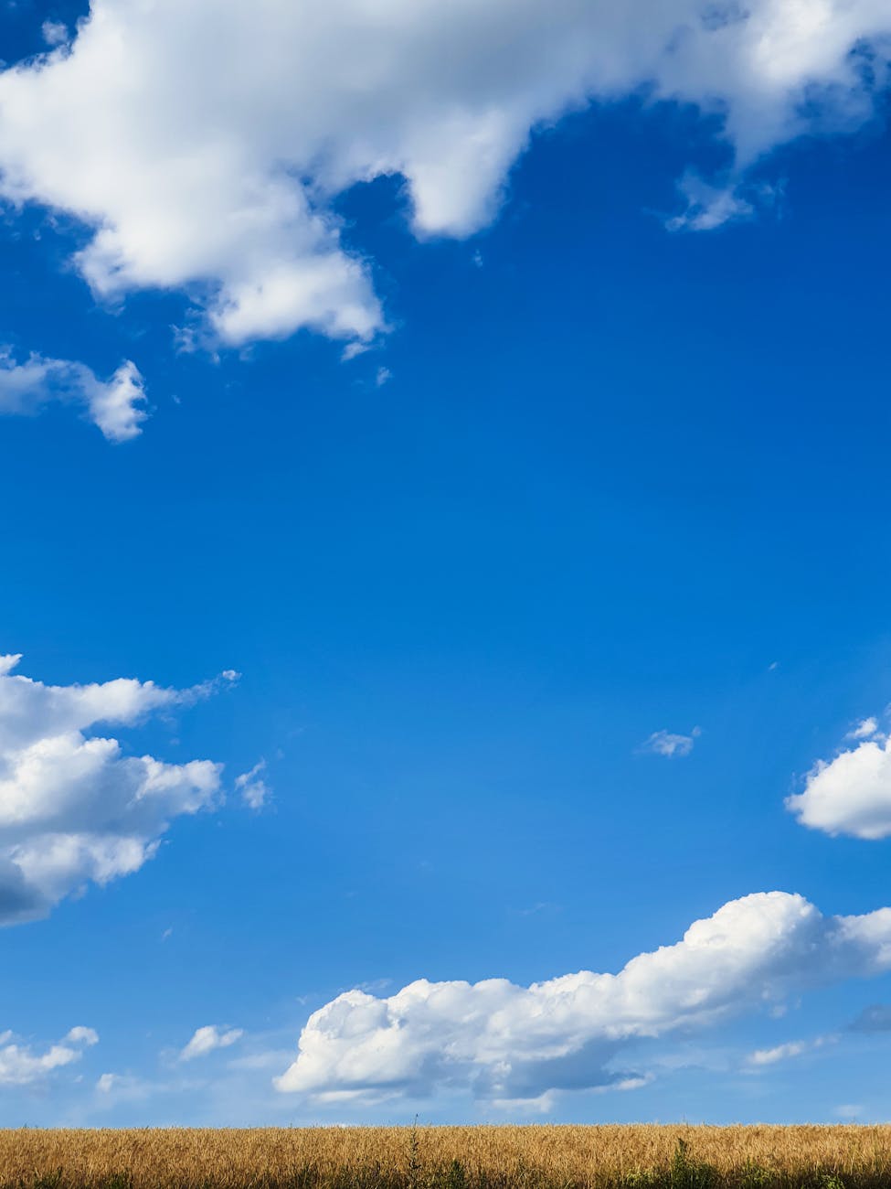 bright blue sky over tuscany field