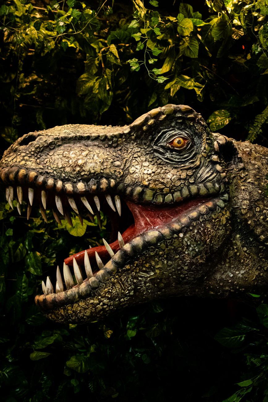close up of realistic dinosaur head in jungle